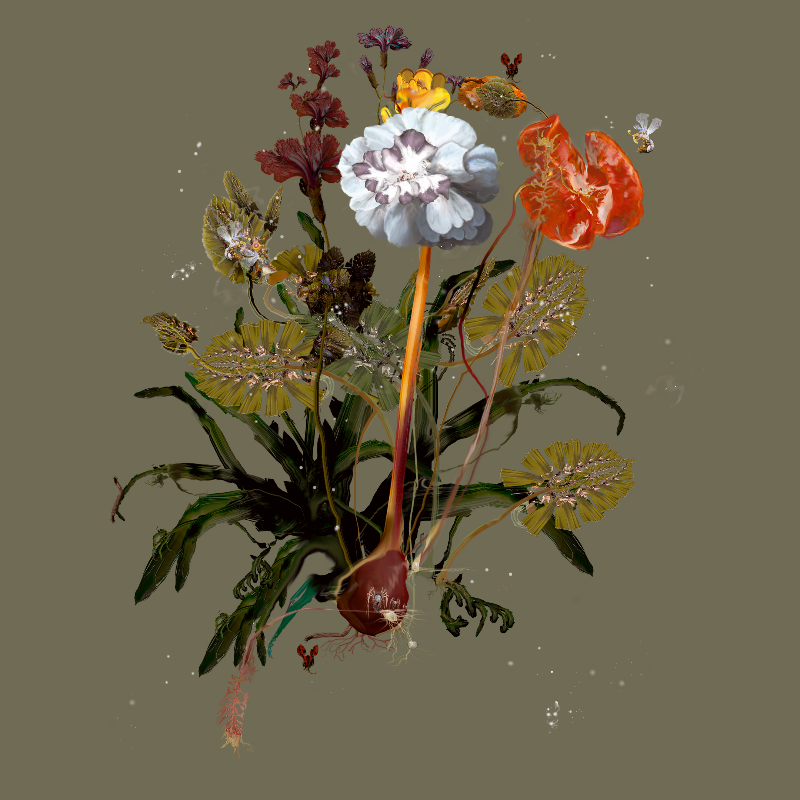 Generative Still Life: Still Life 17.0 #22 static token preview