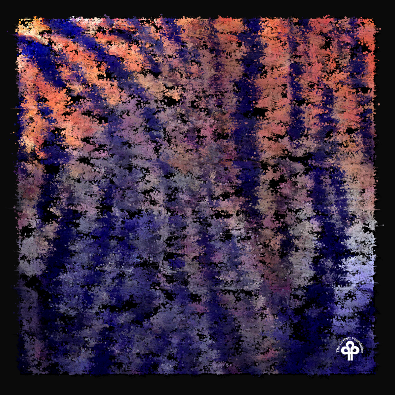 (re)generative tigers #4 static token preview