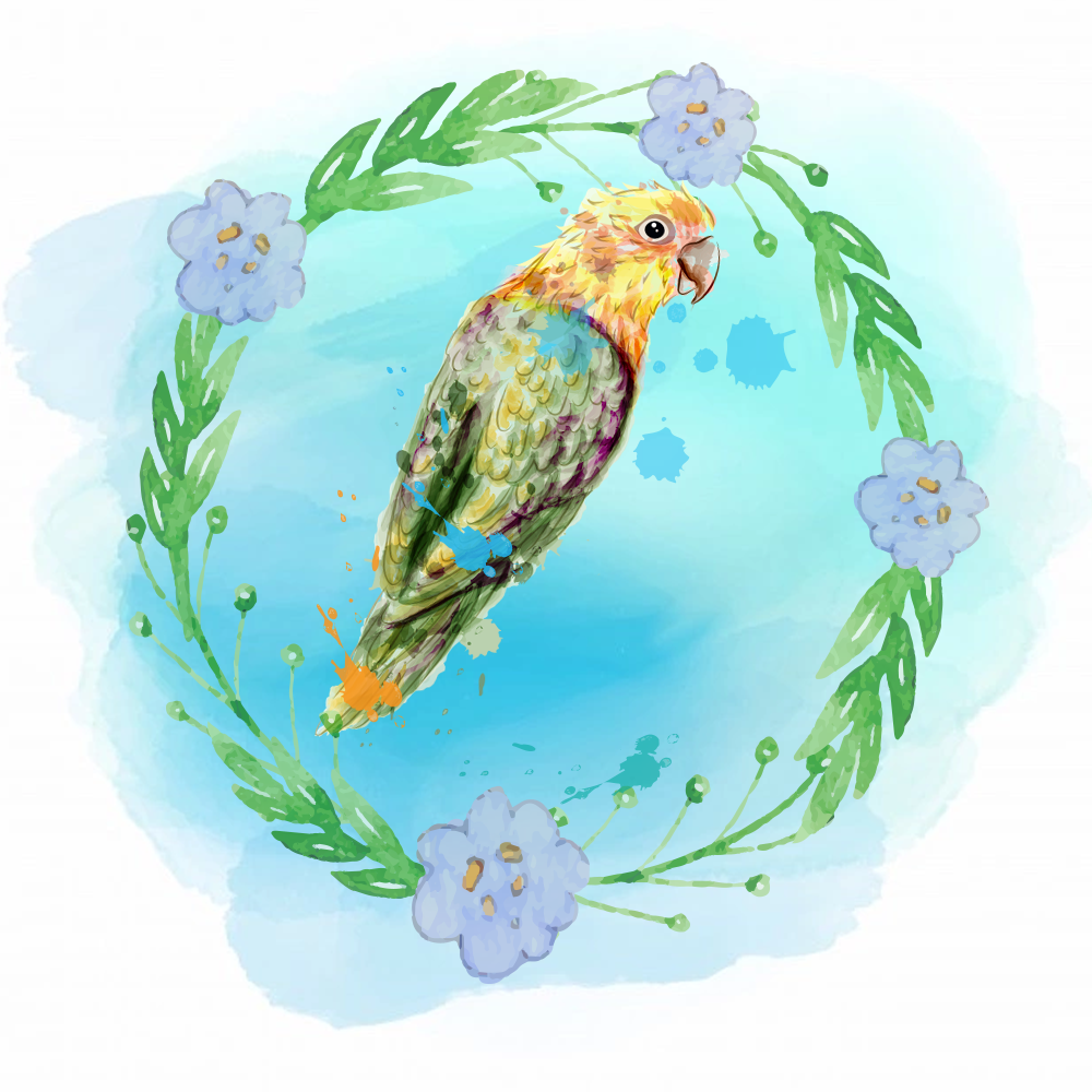 Random Tropical Birds #11 static token preview