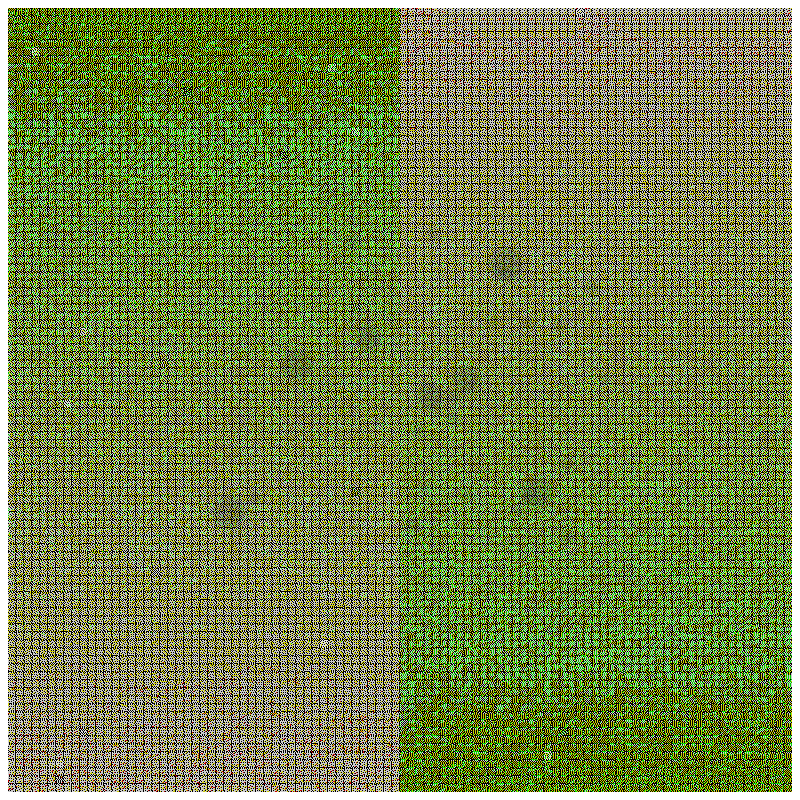 [𝚏𝚛𝚎𝚗𝚎𝚝𝚒𝚌𝚋𝚕𝚘𝚛𝚙] #6 static token preview