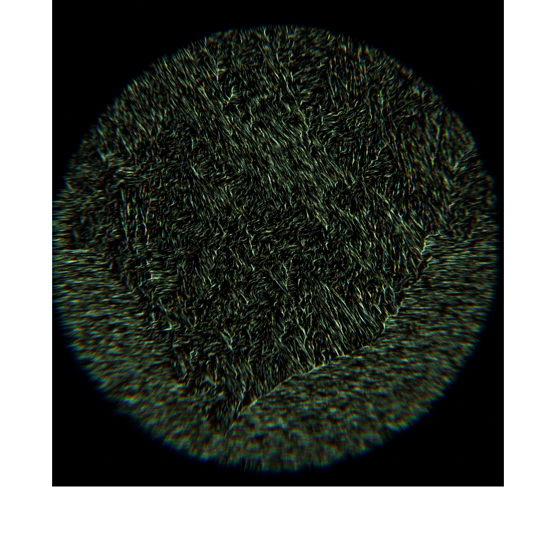 28.2000° N, 83.9755° E #5 static token preview