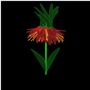 Meta Flower 12 - imperial fritillaries project preview
