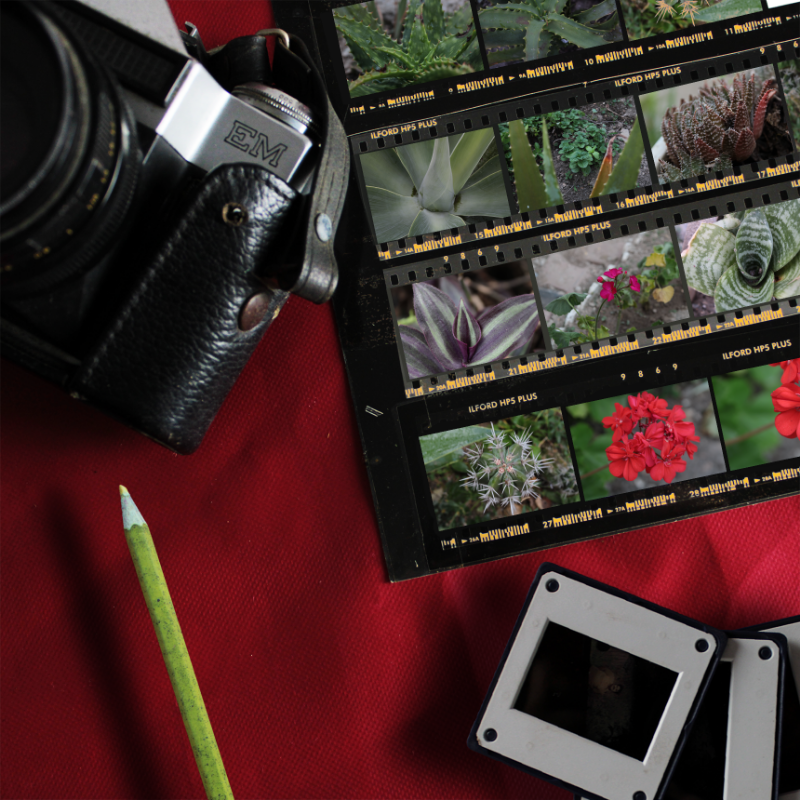 Contact Sheet #12 static token preview