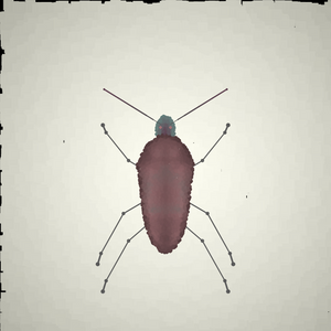 Beetle Sketches project preview