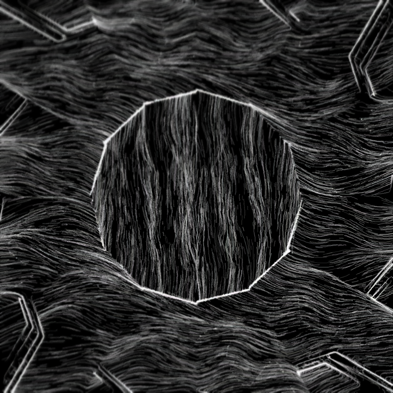 Field Sketch #109 static token preview