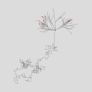 Algorithmic Tree project preview