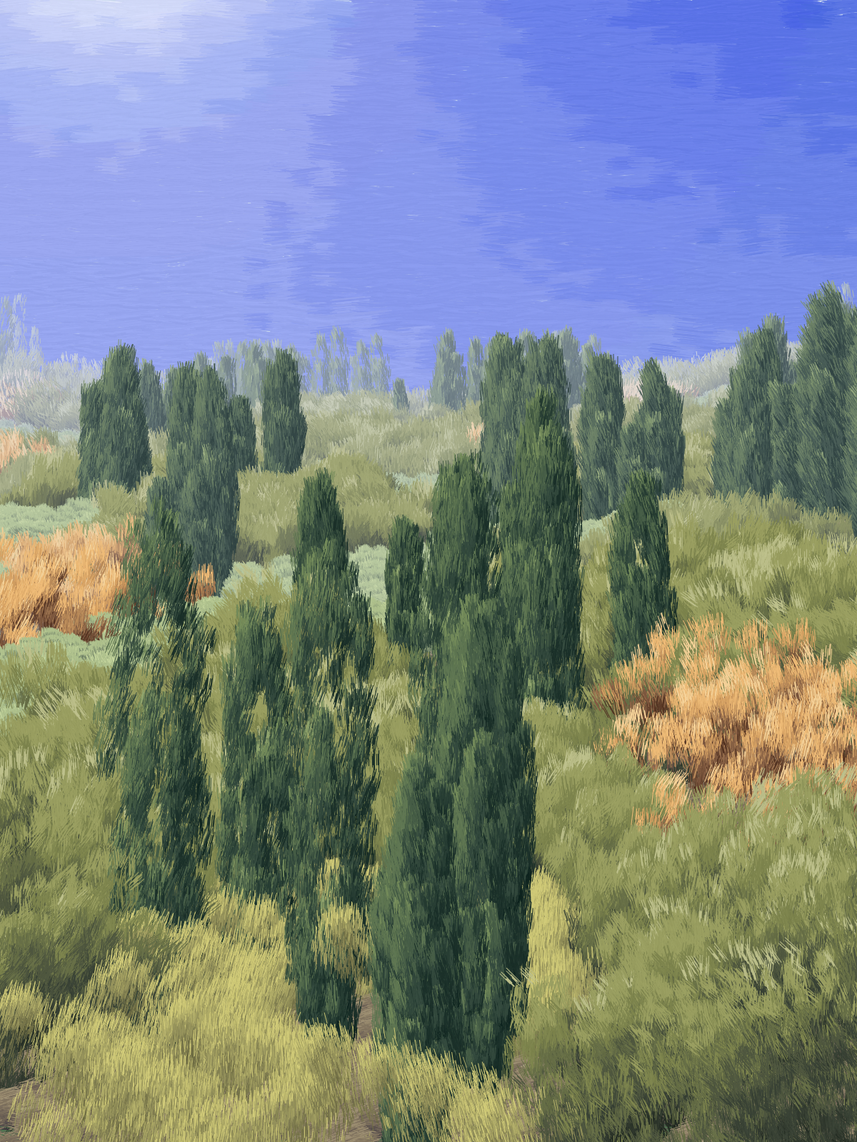 Provence #22 static token preview