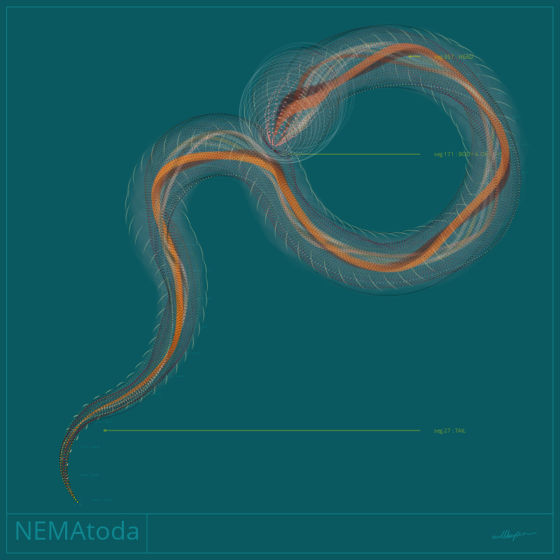 NEMA #13 static token preview