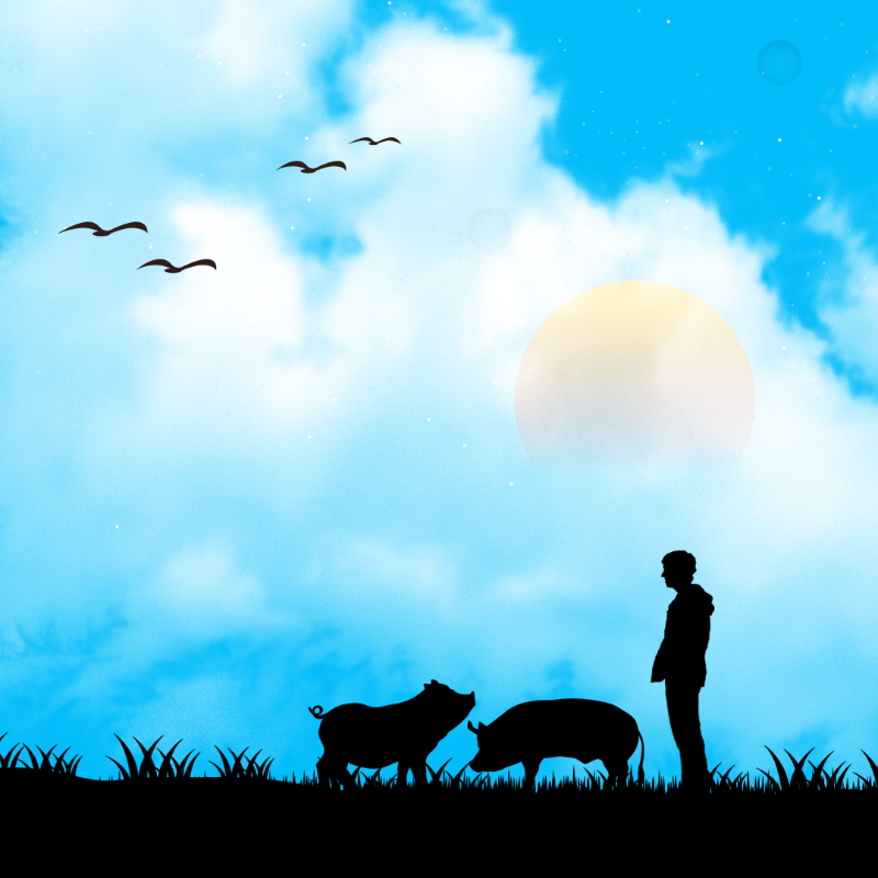 We Care...Pig #8 static token preview