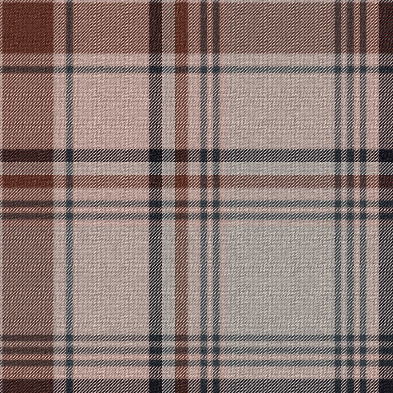 Tartan Cloth #1 static token preview