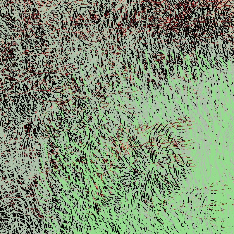 a bird worked on my painting #6 static token preview