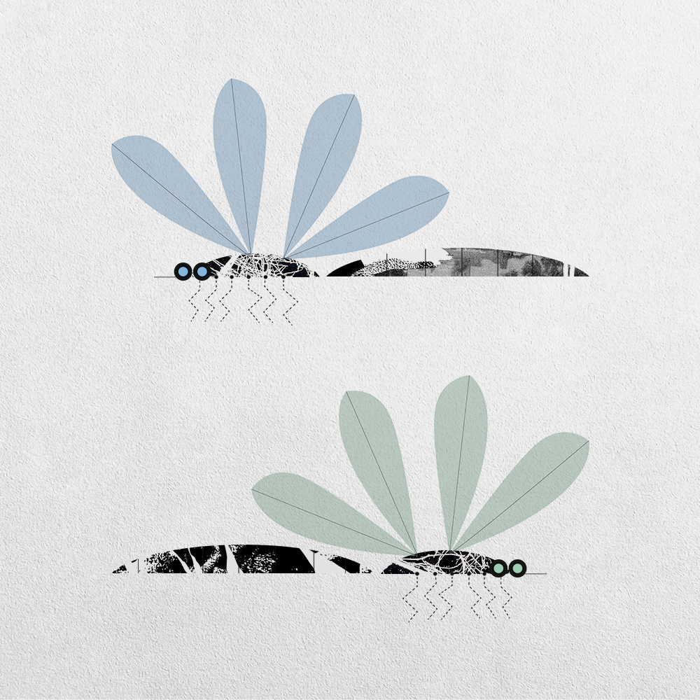 Mosquito Abstraction #17 static token preview