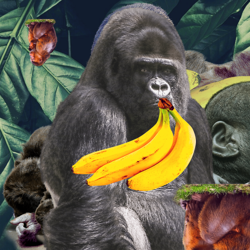 Banana #1 #1 static token preview