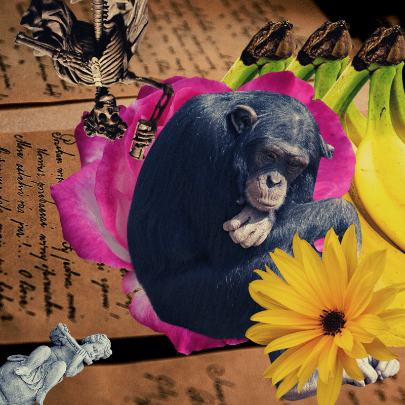 Banana flower #21 static token preview