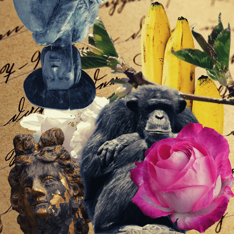 Banana flower #1 static token preview