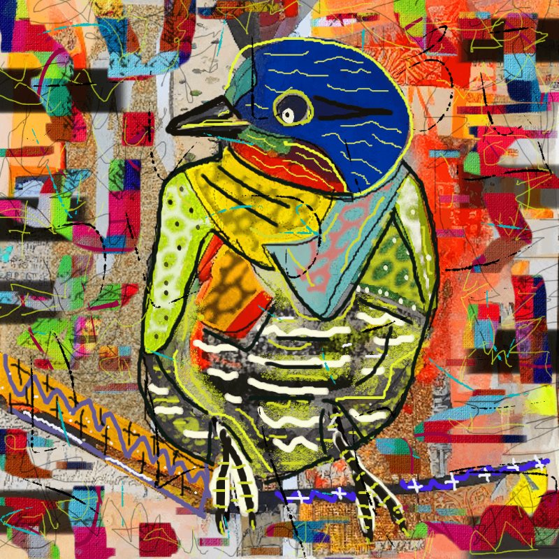 Birdies Vol. 2 #2 static token preview