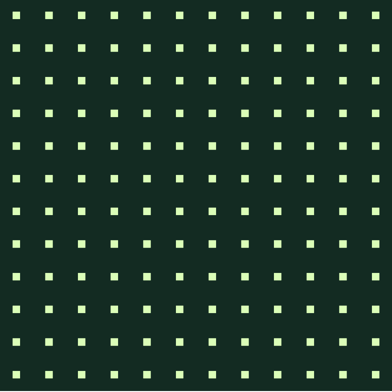 INTERACTIVE - Hide n Seek #24 static token preview