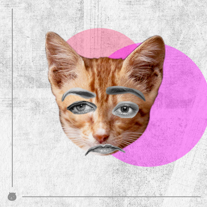 Kittenstein #9 static token preview