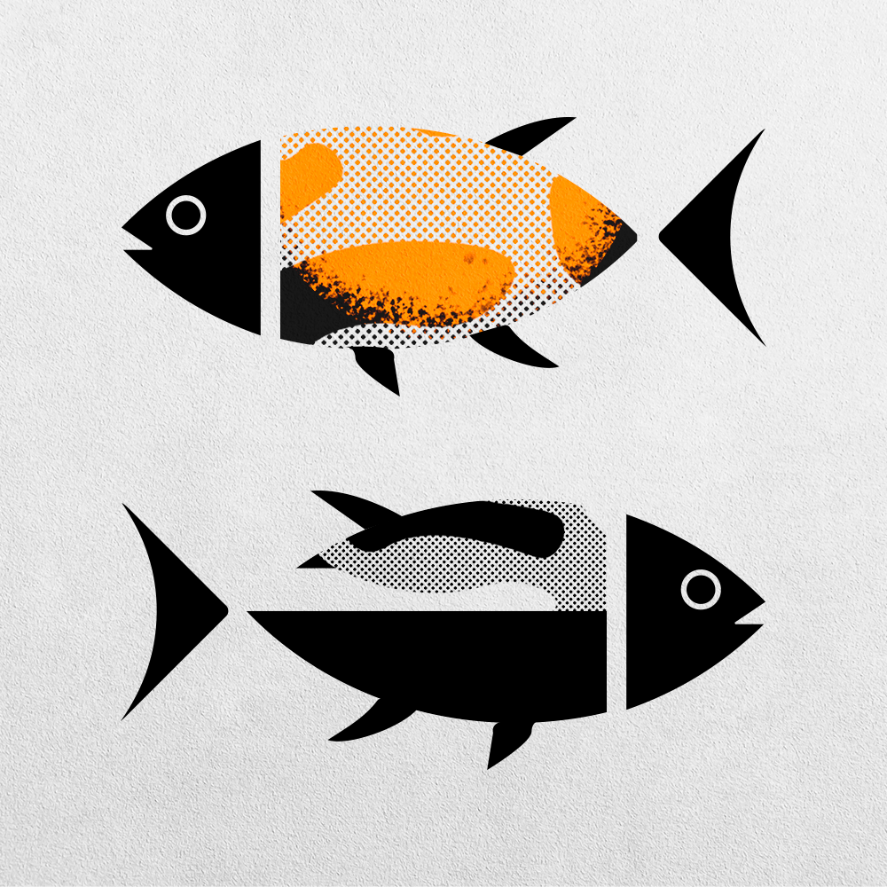 Fish Abstraction #11 static token preview