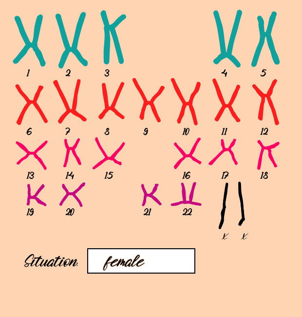 "Karyotype" #11 static token preview