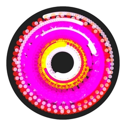 Spin Painting project preview