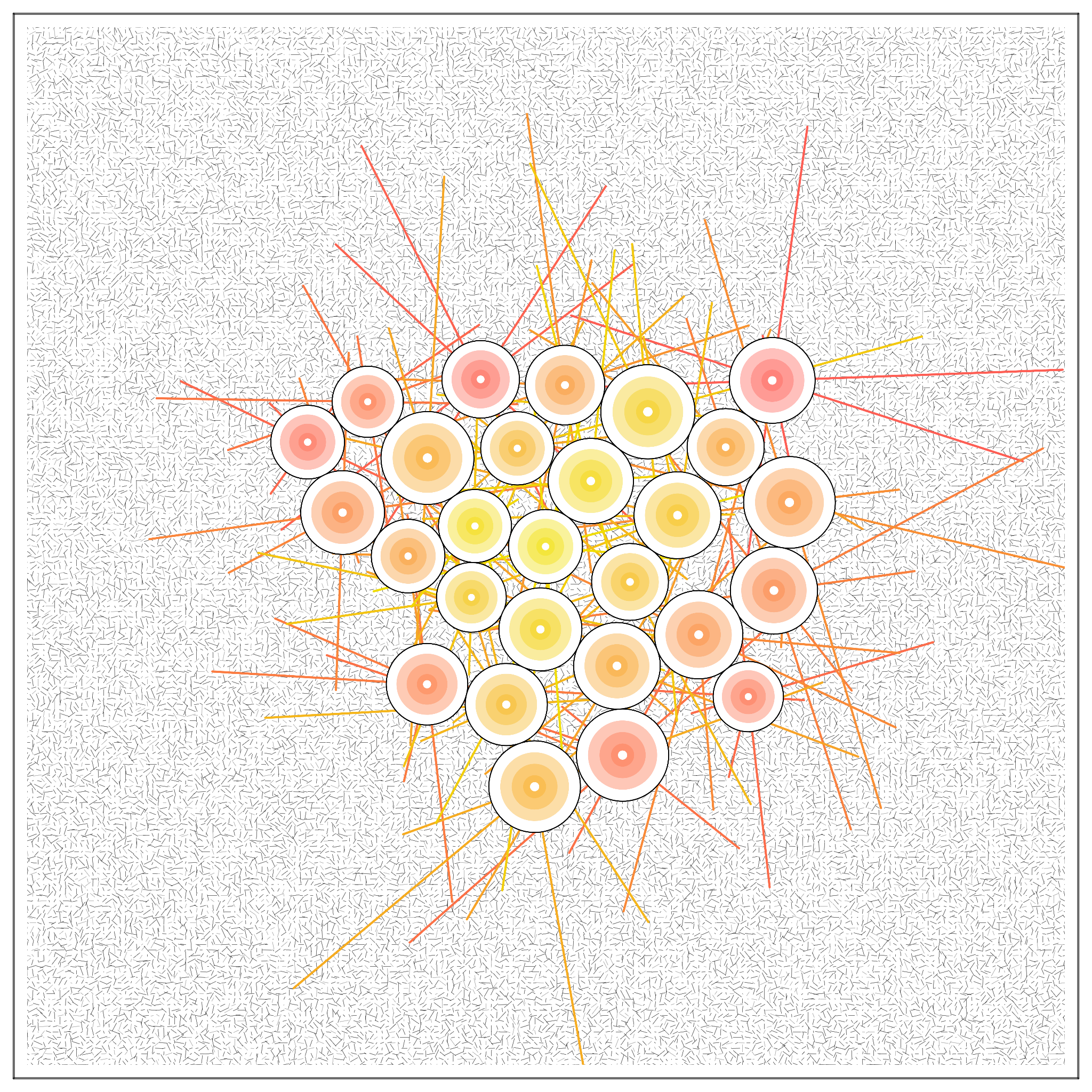 T#6Z#O #2 static token preview