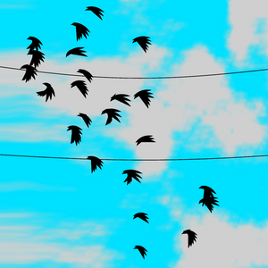 Flock project preview