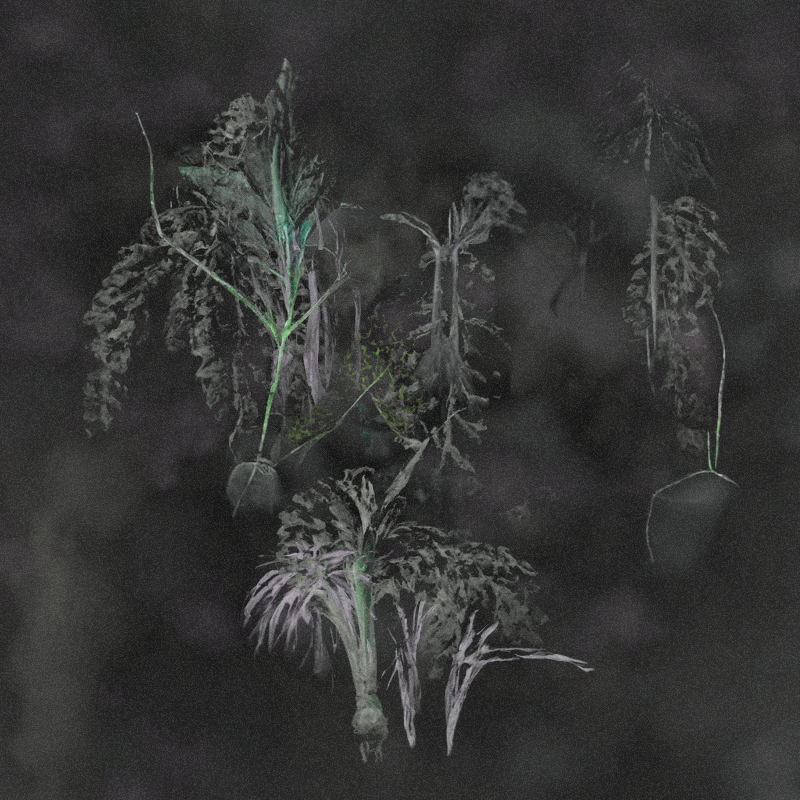 Hauntological Herbarium #2 static token preview