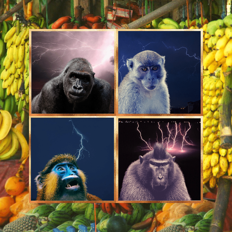 Banana legends #9 static token preview