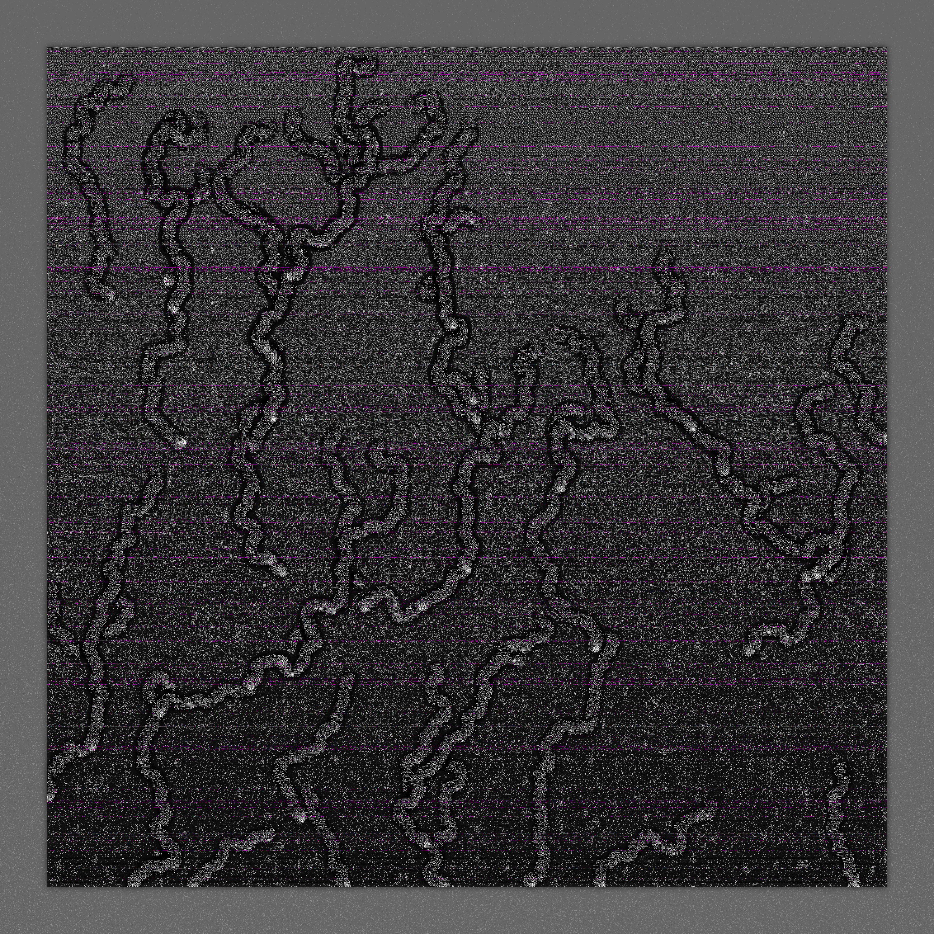 [ascii_growth] #20 static token preview