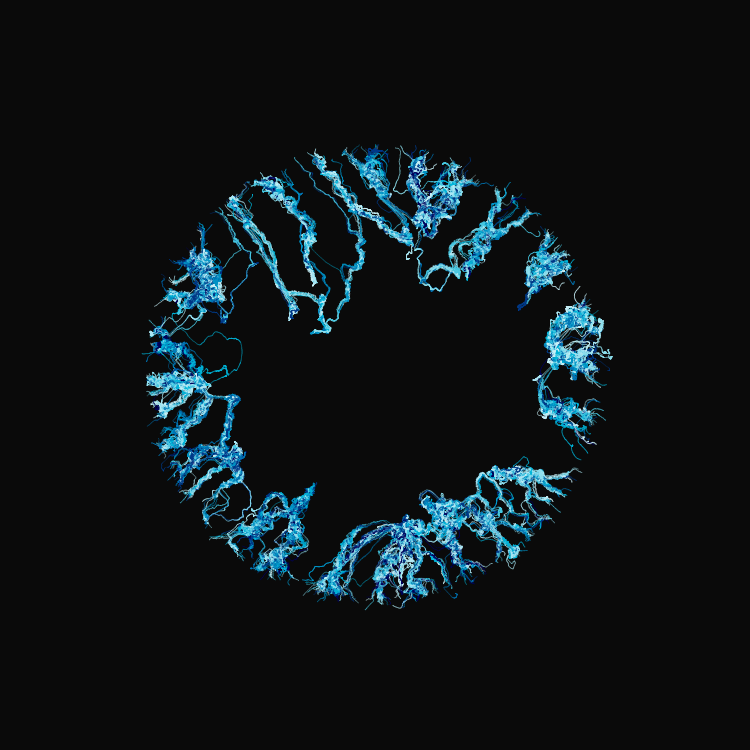 Ginseng #12 static token preview