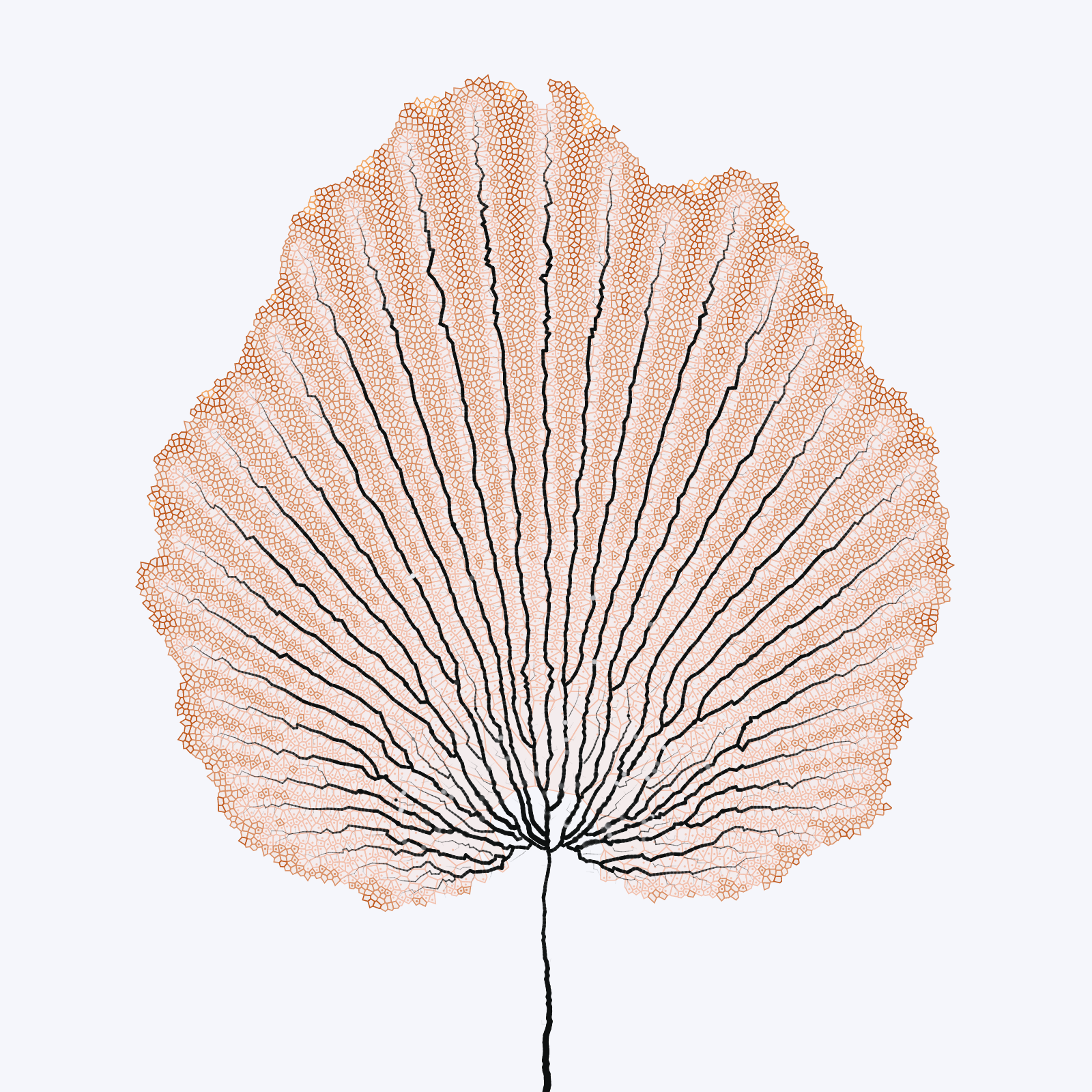 Leaf study #17 static token preview