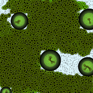 Is this a new virus? project preview
