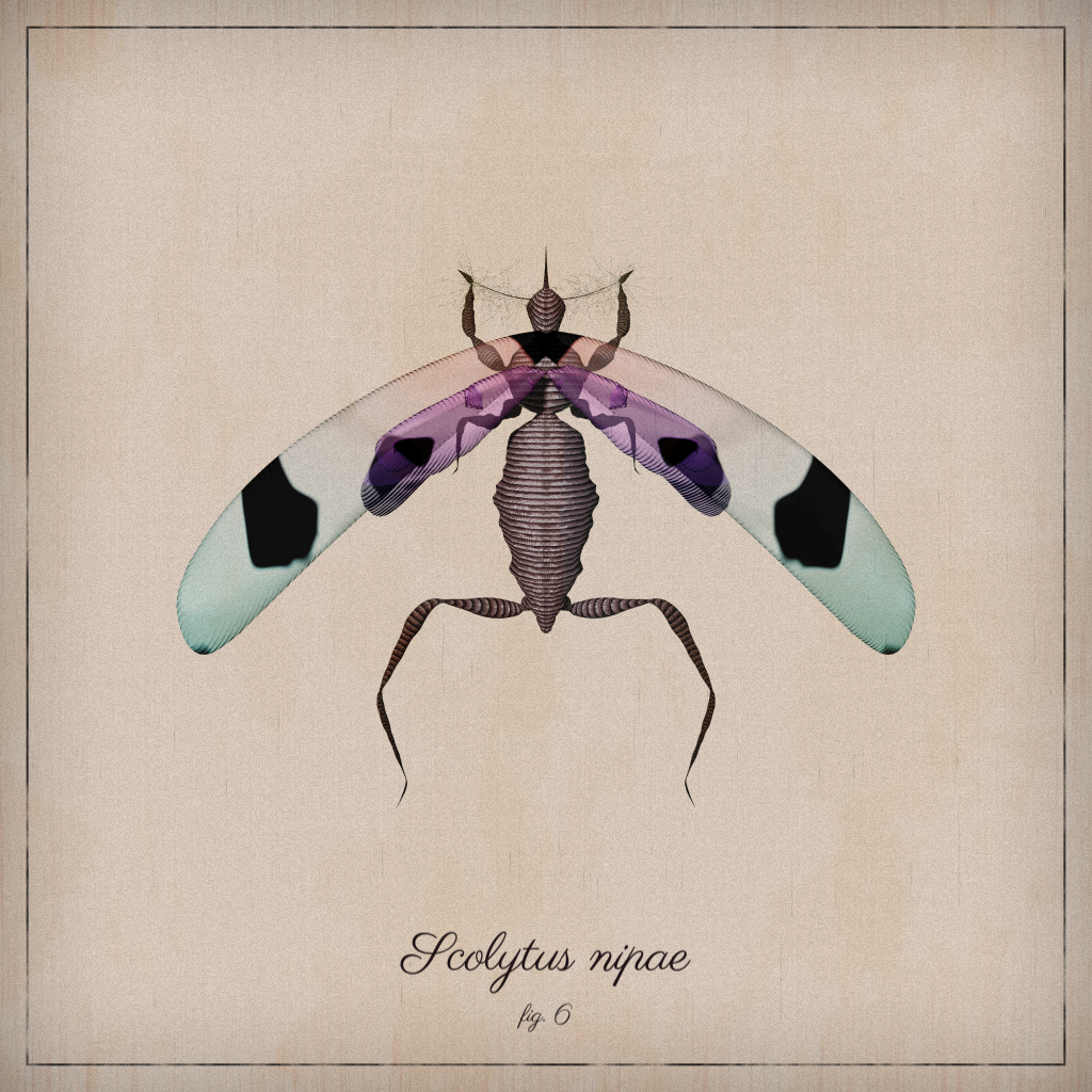 ProcGen Entomology #3 static token preview