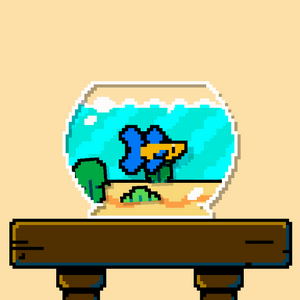 betta fish project preview