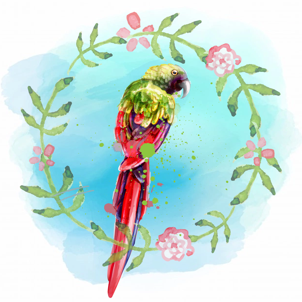 Random Tropical Birds #3 static token preview