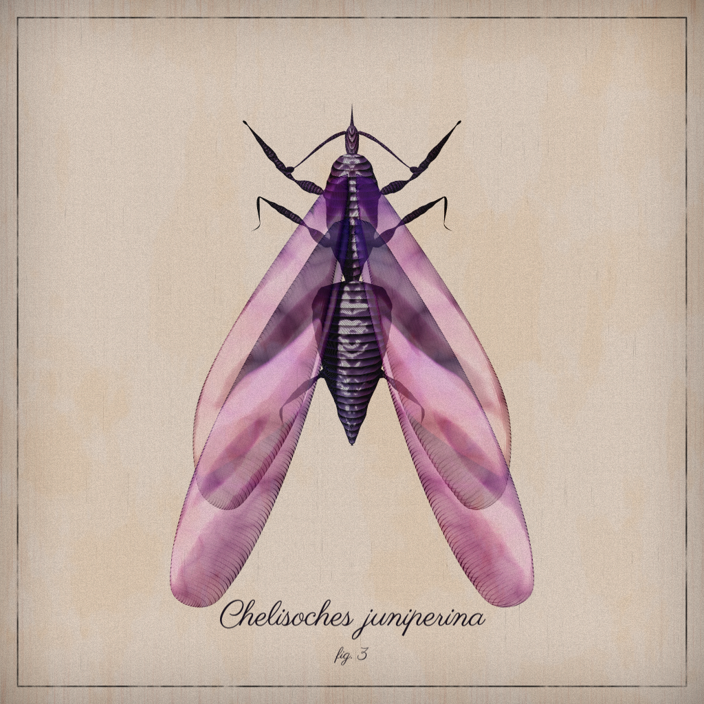 ProcGen Entomology #24 static token preview