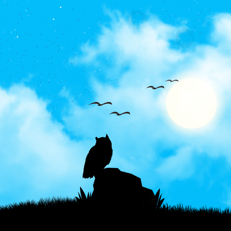 We Care...Owl #4 static token preview