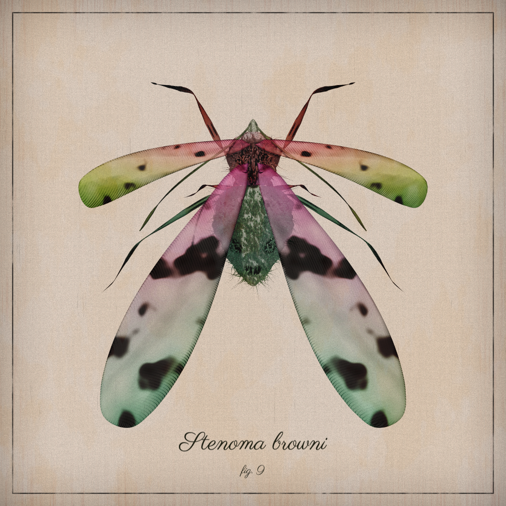 ProcGen Entomology #23 static token preview