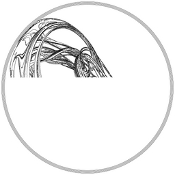 LL21 Fractal Contour project preview