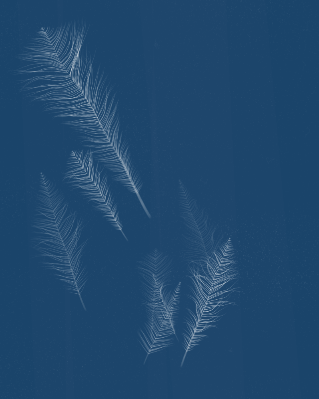 Cyanotypes #23 static token preview