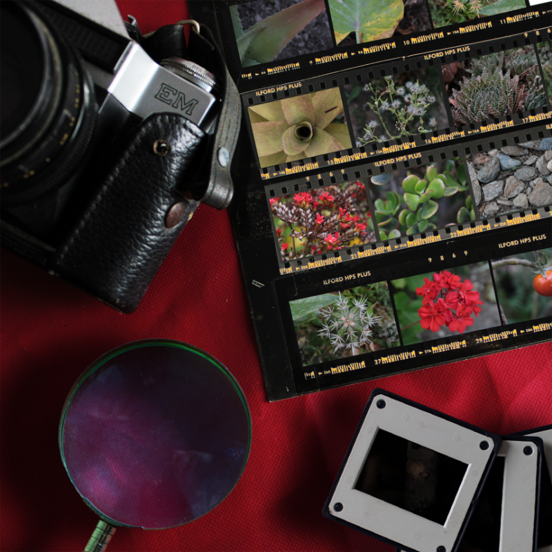 Contact Sheet #22 static token preview
