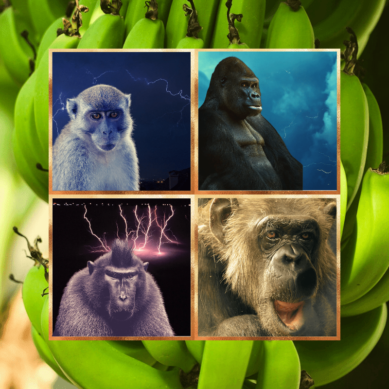 Banana legends #22 static token preview