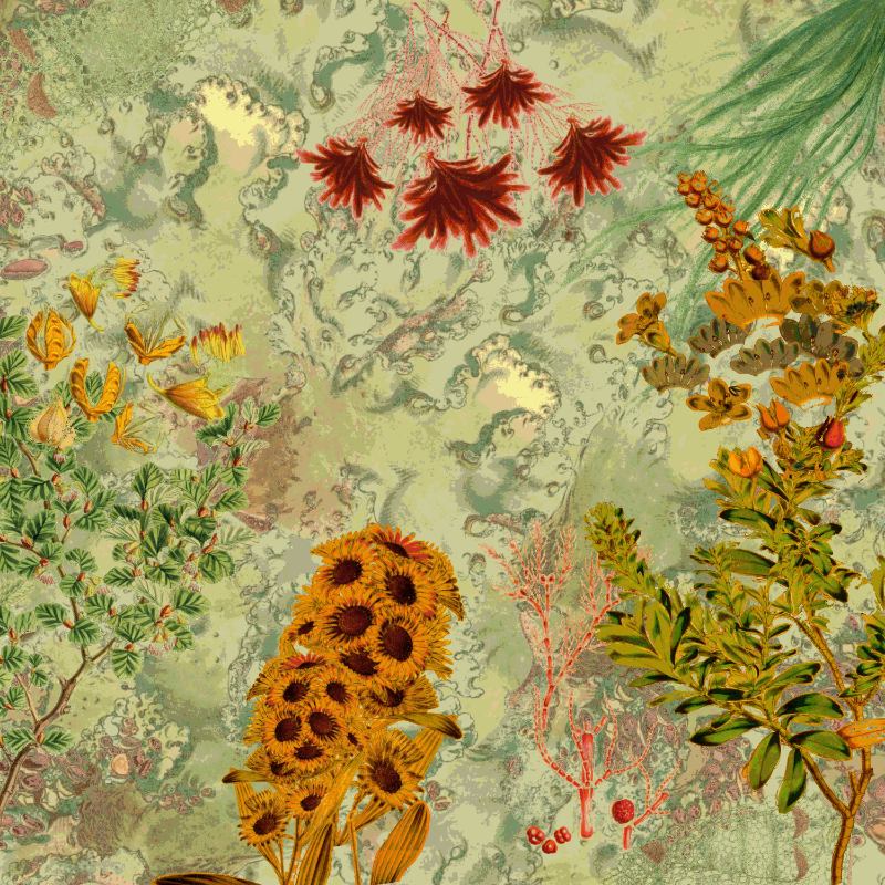 future flora from Antarctica's past #9 static token preview