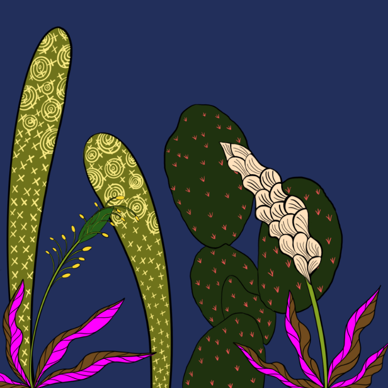 Desert Exuberance #23 static token preview