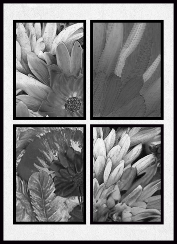 B & W #1 static token preview