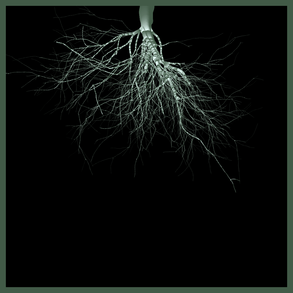Arbres suspendus #11 static token preview