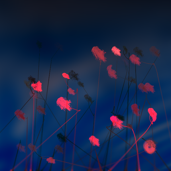 Cottongrass #12 static token preview