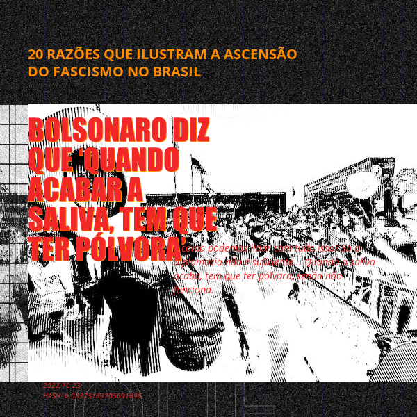 B4D - Brazil4Democracy #10 static token preview