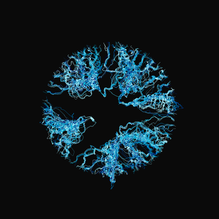 Ginseng #15 static token preview